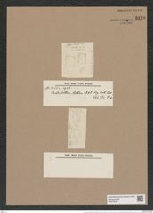 Lysigonium moniliforme var. hispidum f. bottnicum Castr./Gr. (de-Toni-Nr.: Genus 211, Species 5298) Zeichnungen Sammlung Grunow Nr. 9129 (NHMW-BOT-W0378898)